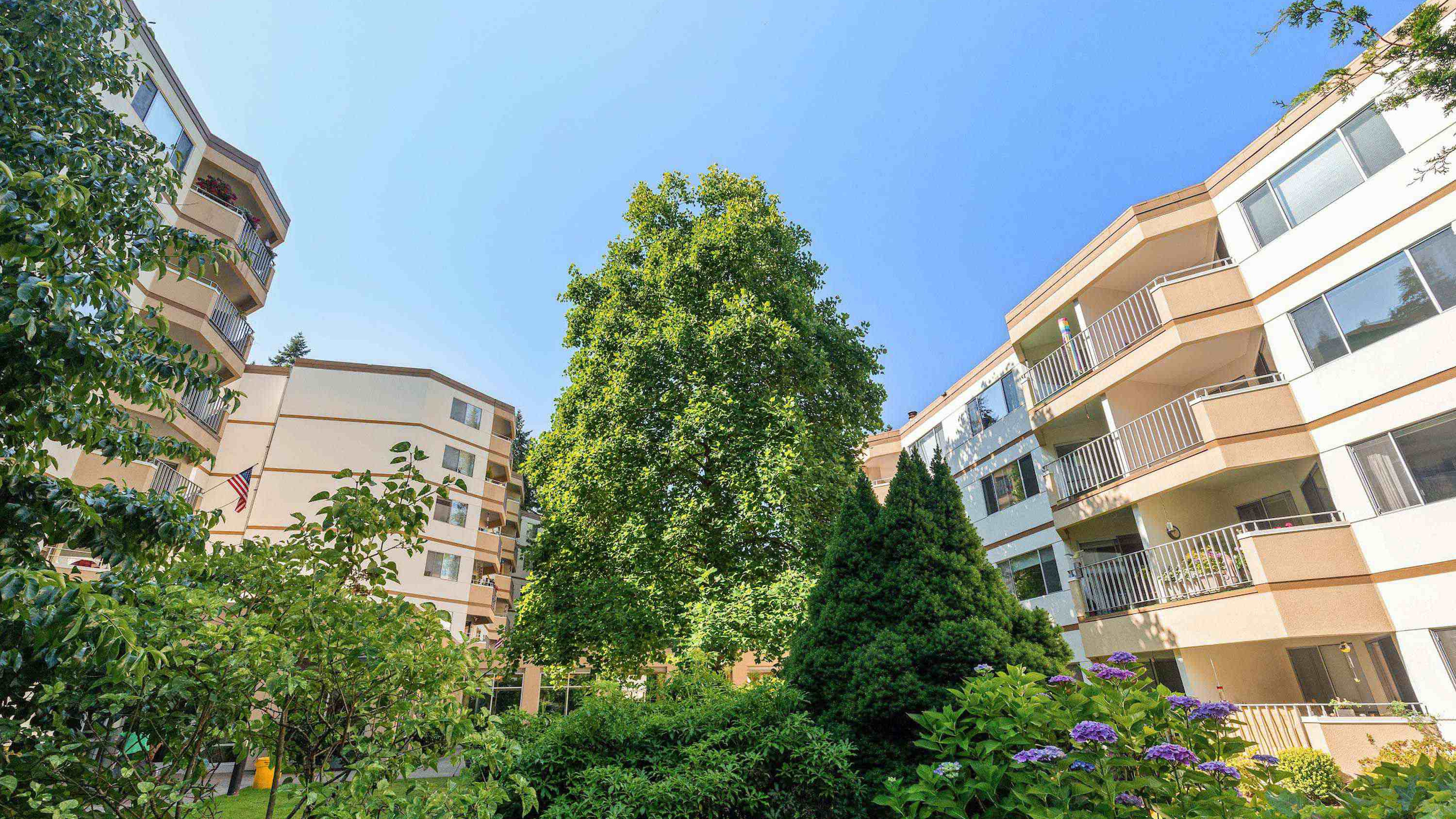 A garden view from Cristwood's central courtyard