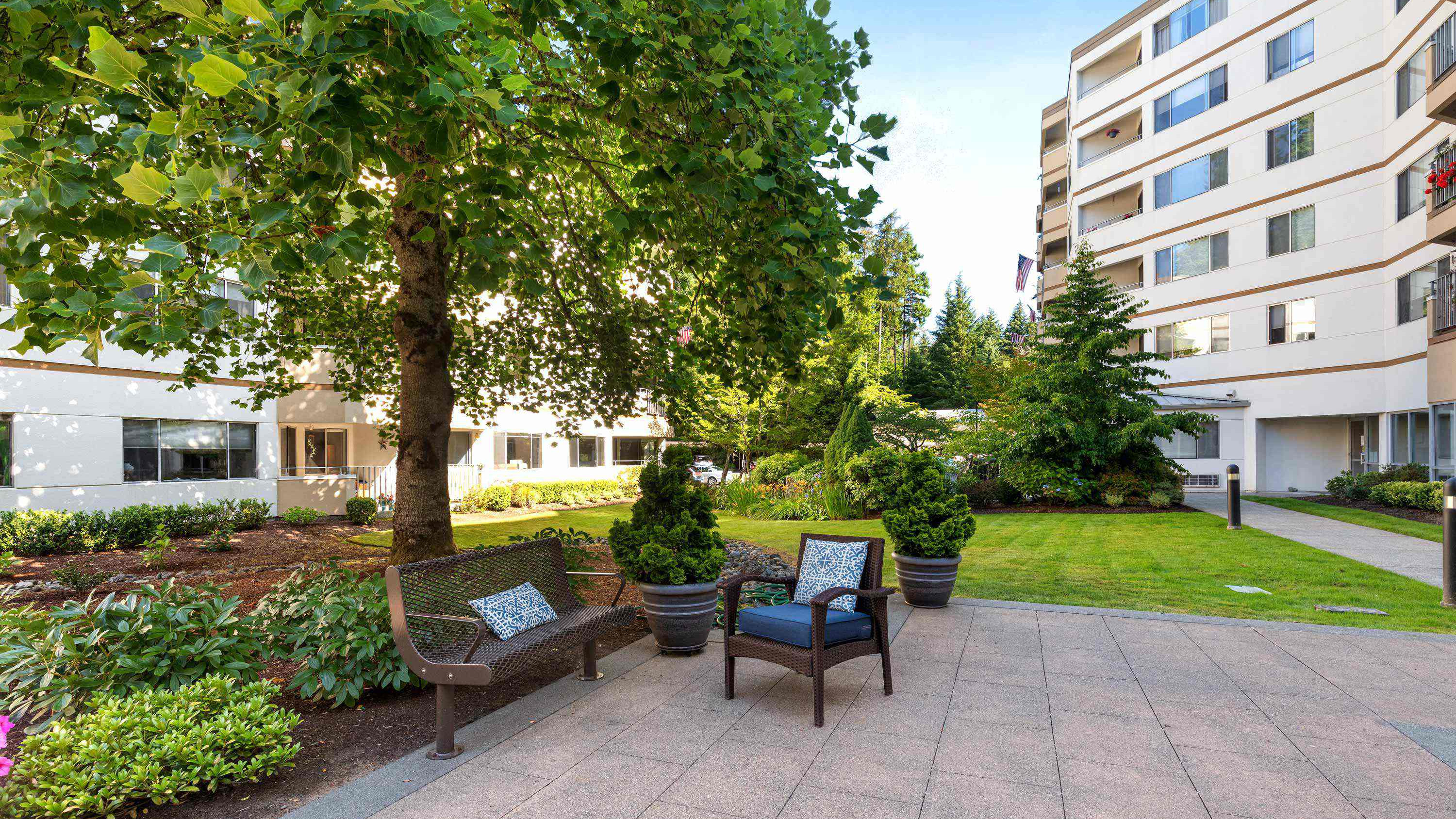 Bench and chair in Cristwood courtyard