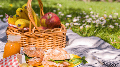 CRISTA Senior Living Blog Perfect Picnic hero image