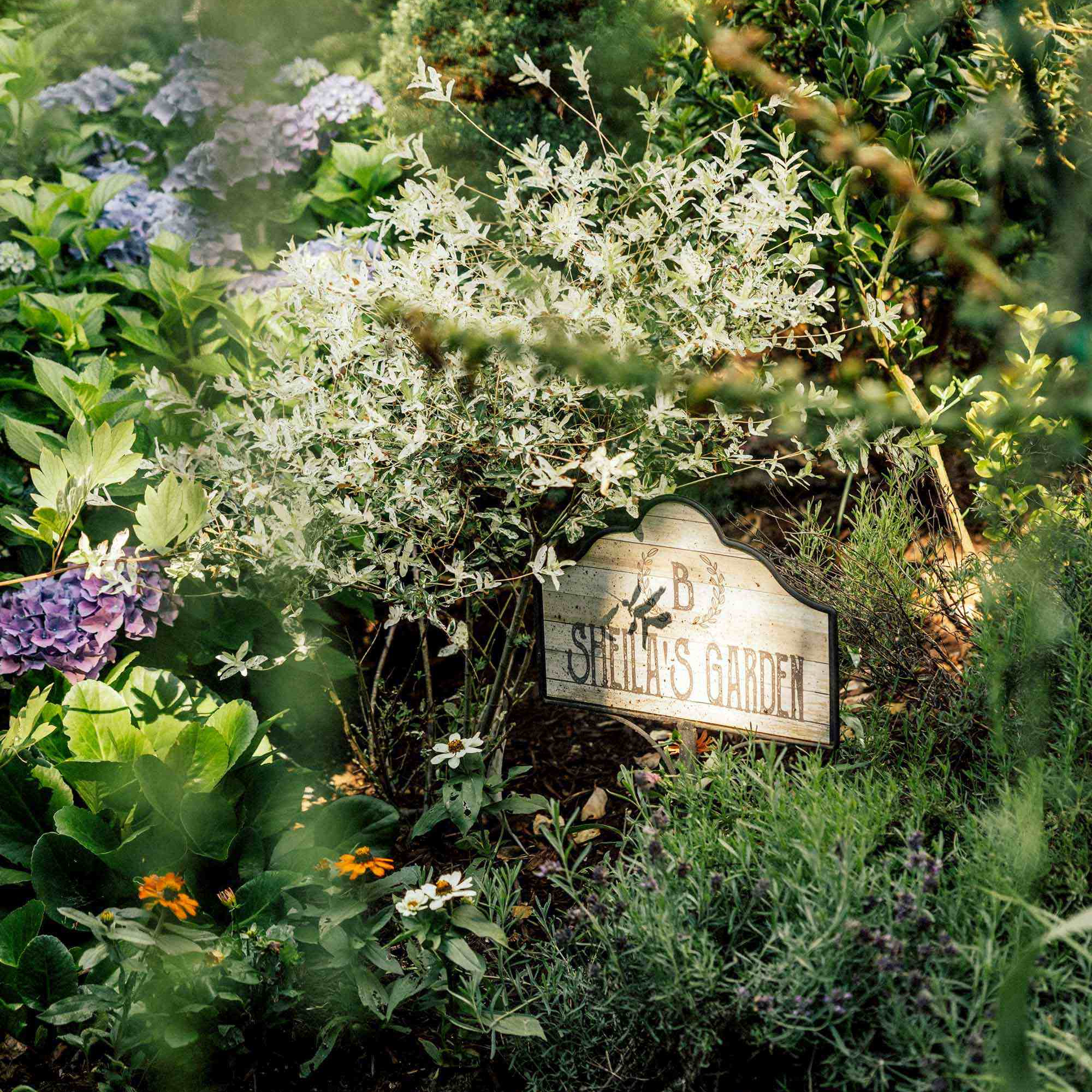 Sheila's Garden at Cristwood