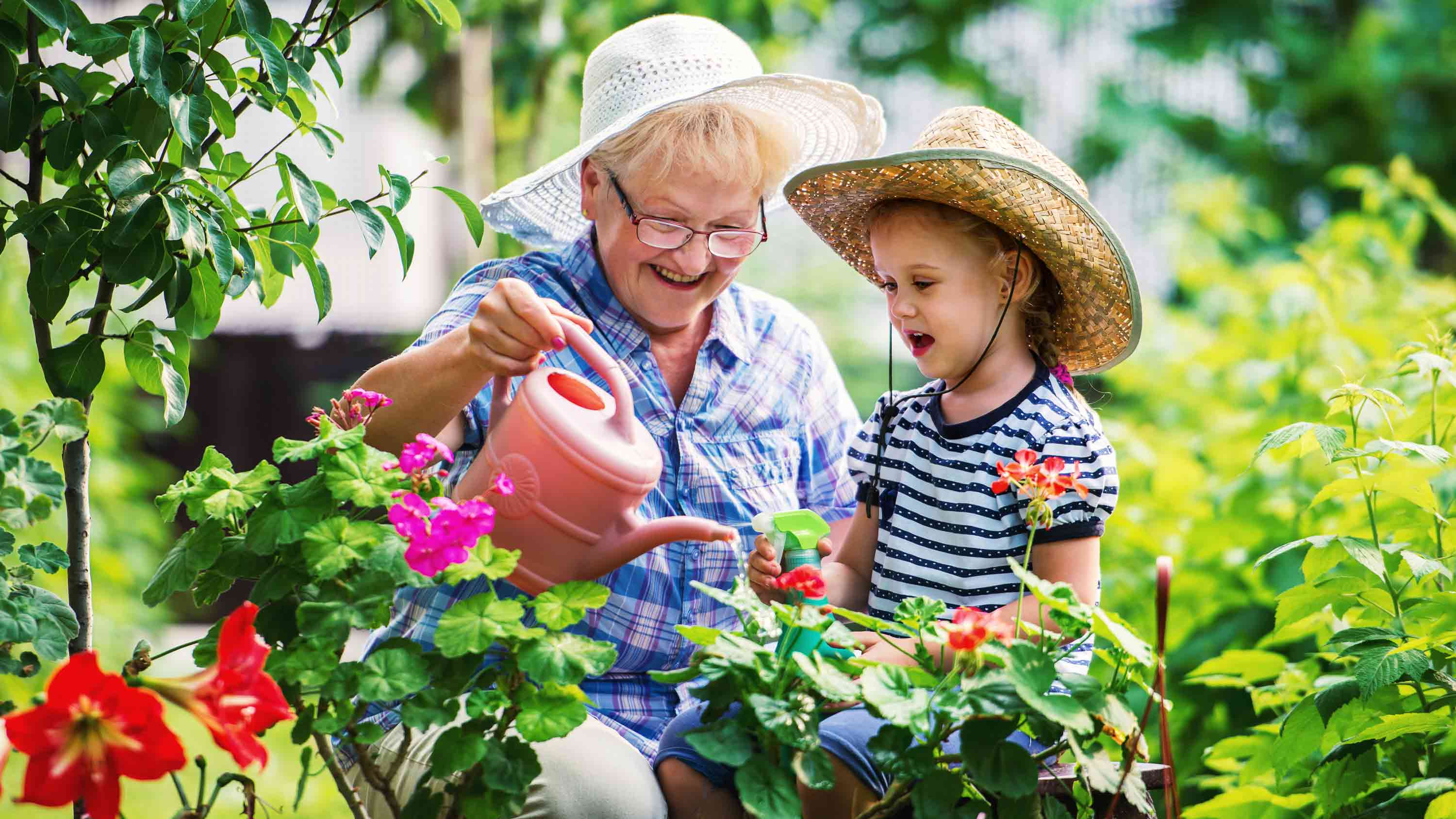 Senior and child watering flowers in the garden